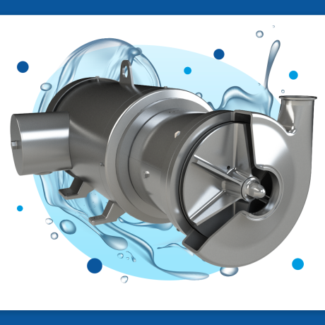 QWP Sanitary Pump for Wine Transfer 